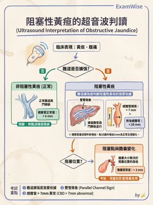 放射 - 膽胰脾超音波 - AI 圖文解析預覽