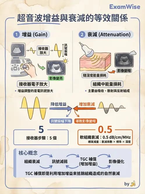 放射 - 超音波物理與技術 - AI 圖文解析預覽