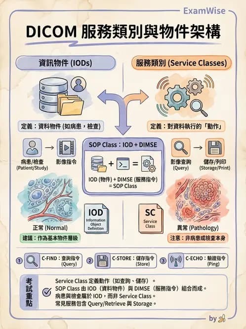 放射 - PACS、DICOM與遠距醫學 - AI 圖文解析預覽