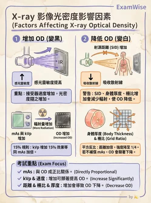 放射 - 曝光參數與散射線控制 - AI 圖文解析預覽