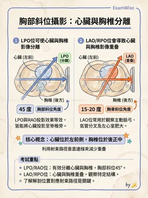 放射 - 軀幹四肢攝影技術 - AI 圖文解析預覽