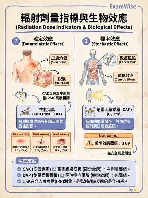 放射 - 輻射安全 - AI 圖文解析預覽