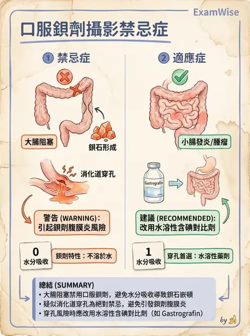 放射 - 消化道造影 - AI 圖文解析預覽