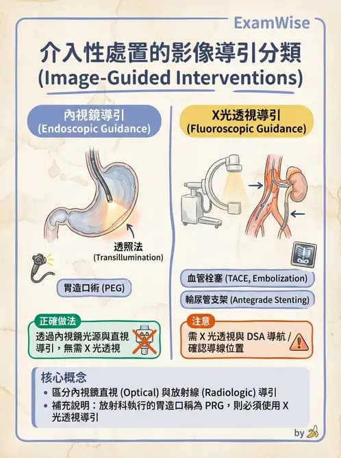 放射 - 導管技術與介入性治療 - AI 圖文解析預覽