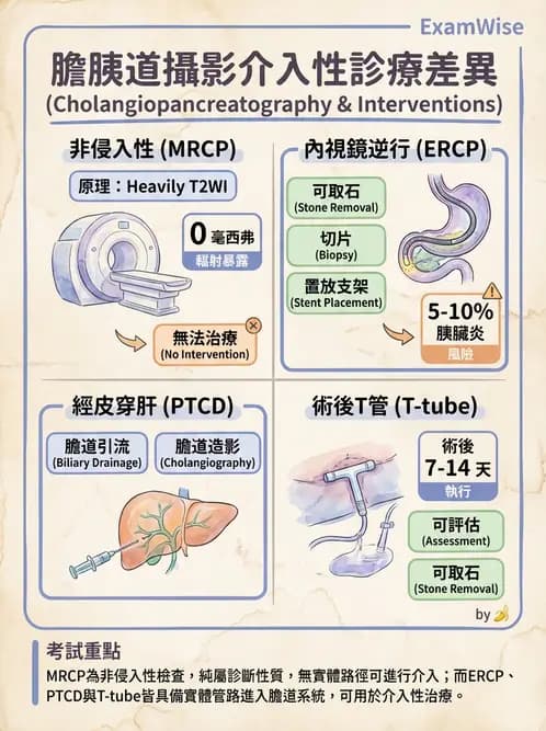 放射 - 乳房攝影與其他特殊檢查 - AI 圖文解析預覽