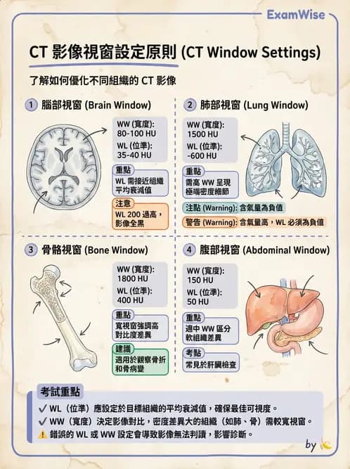放射 - CTA與CT影像技術應用 - AI 圖文解析預覽