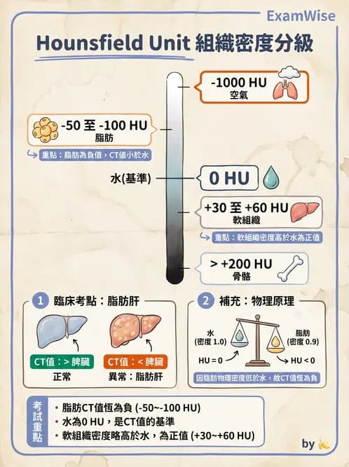放射 - CT物理原理與掃描技術 - AI 圖文解析預覽