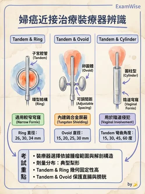放射 - 腔內近接治療 - AI 圖文解析預覽