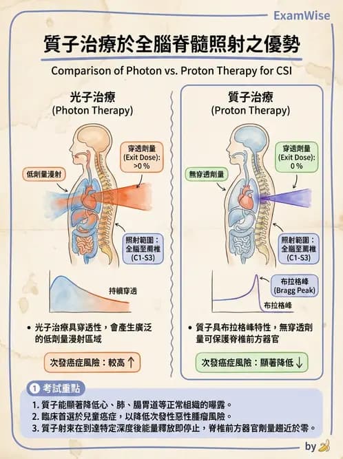 放射 - 質子與粒子治療 - AI 圖文解析預覽