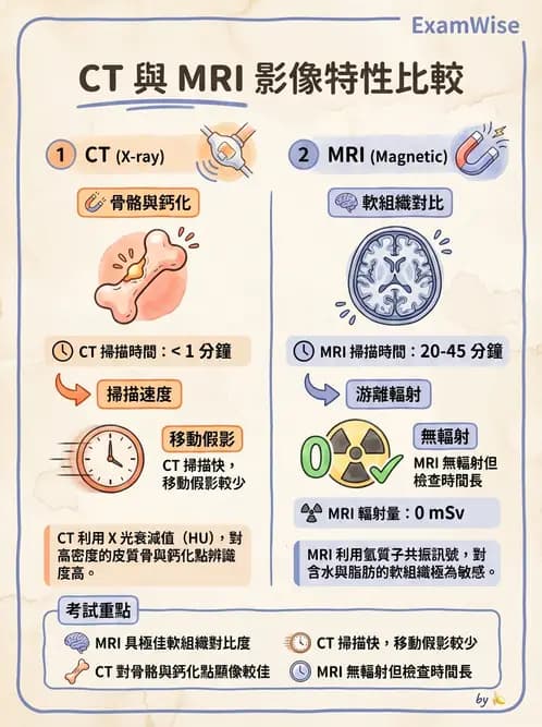 放射 - 多模影像模擬攝影與呼吸運動管理 - AI 圖文解析預覽