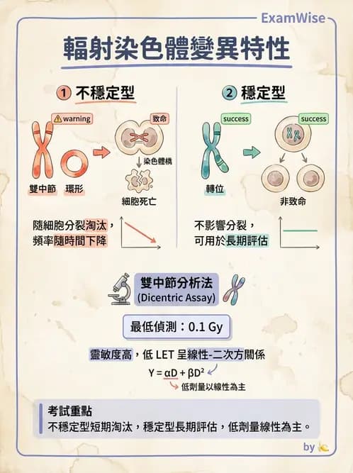 放射 - DNA傷害與修復 - AI 圖文解析預覽