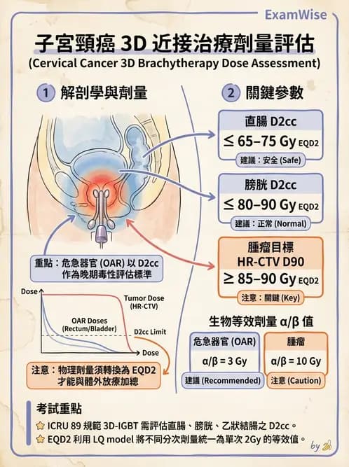 放射 - 腔內近接治療 - AI 圖文解析預覽