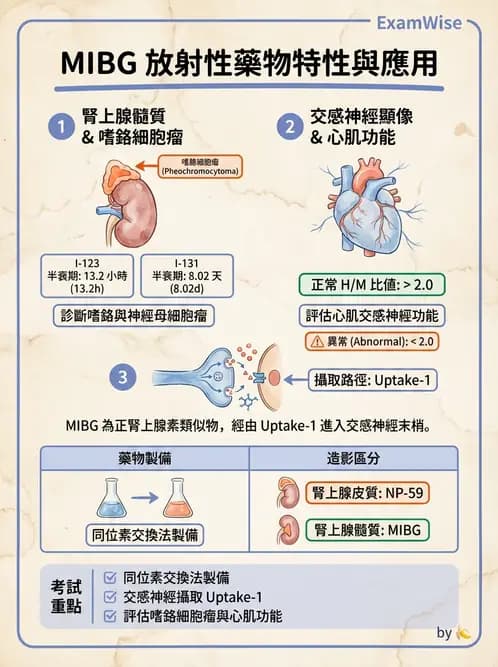 放射 - 腫瘤與內分泌造影SPECT藥物 - AI 圖文解析預覽