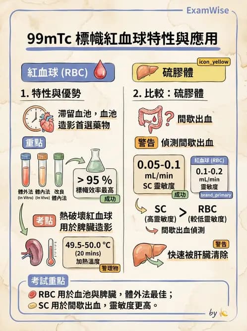 放射 - 肺肝膽與製劑通則 - AI 圖文解析預覽