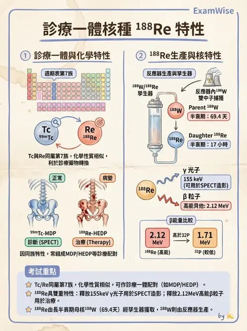 放射 - 治療用核醫藥物 - AI 圖文解析預覽