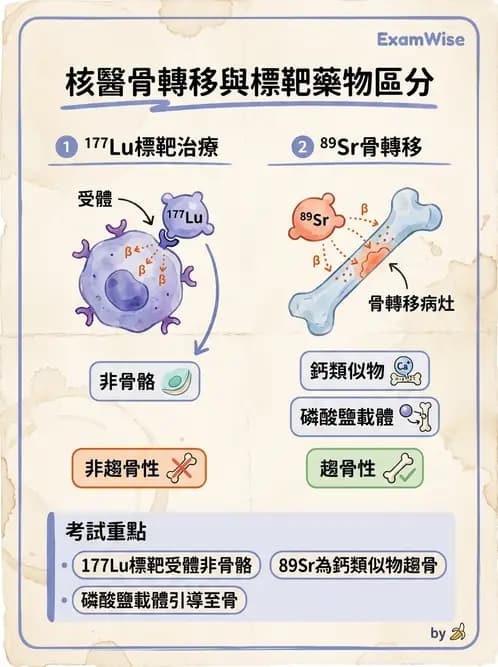 放射 - 非腫瘤治療 - AI 圖文解析預覽