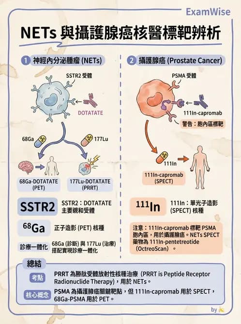 放射 - 腫瘤PET藥物 - AI 圖文解析預覽