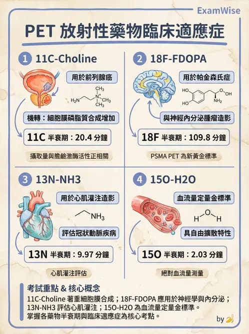 放射 - 腫瘤PET藥物 - AI 圖文解析預覽