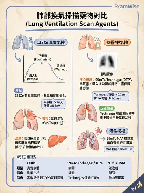 放射 - 肺肝膽與製劑通則 - AI 圖文解析預覽