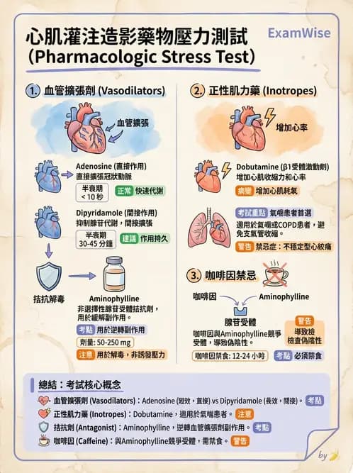 放射 - 心臟灌注造影 - AI 圖文解析預覽