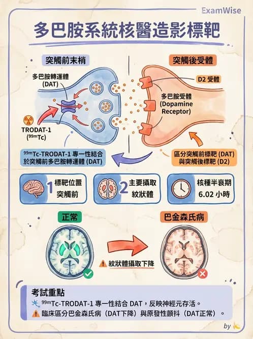 放射 - 腦部造影SPECT藥物 - AI 圖文解析預覽