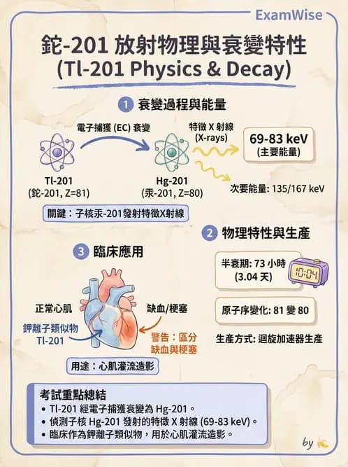 放射 - 蛻變類型與計算 - AI 圖文解析預覽