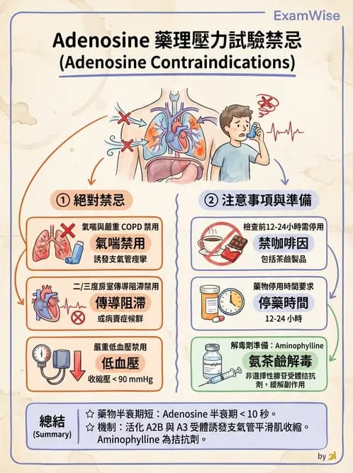 放射 - 心臟灌注造影 - AI 圖文解析預覽