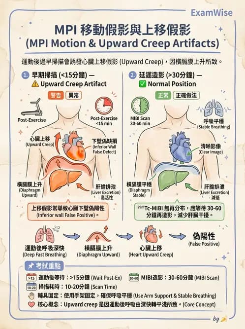 放射 - 心臟灌注造影 - AI 圖文解析預覽