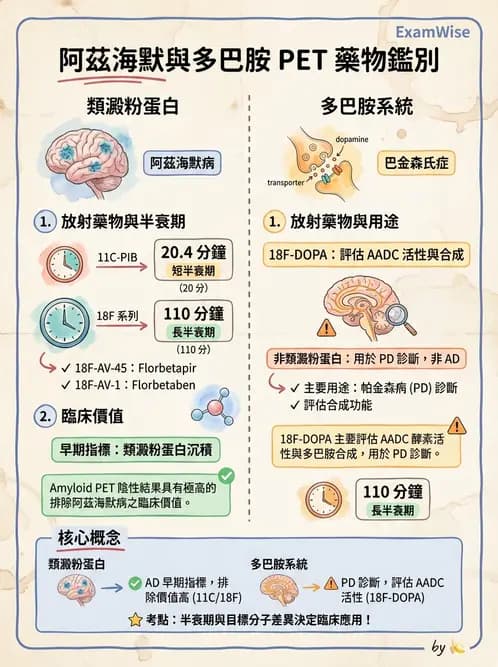 放射 - 腦神經PET藥物 - AI 圖文解析預覽