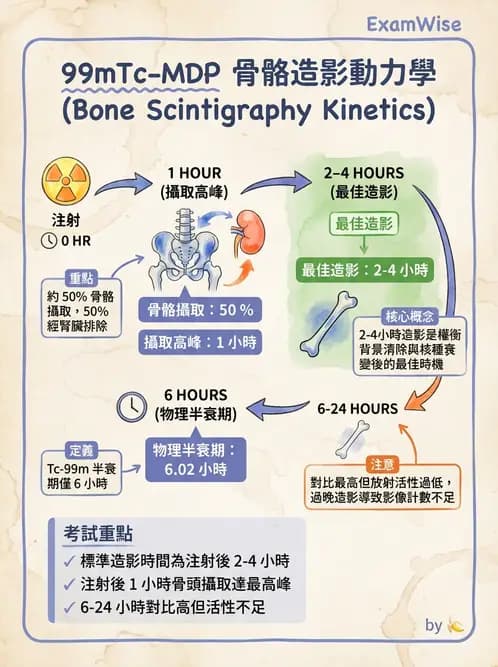 放射 - 骨骼造影 - AI 圖文解析預覽
