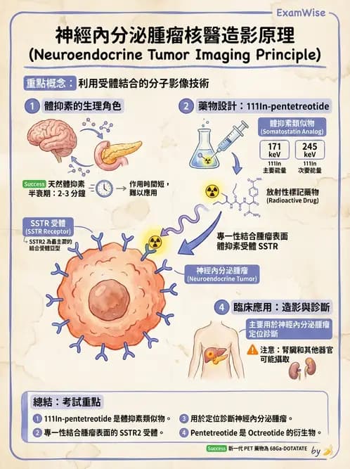 放射 - 腫瘤與內分泌造影SPECT藥物 - AI 圖文解析預覽