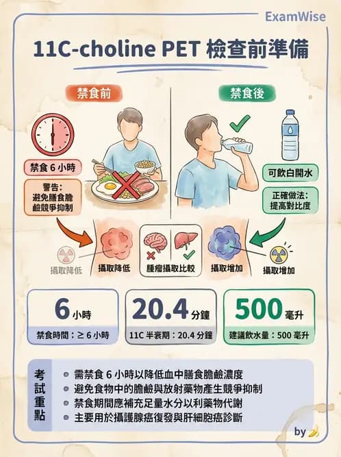 放射 - 標靶受體腫瘤造影 - AI 圖文解析預覽