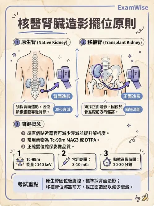 放射 - 腎臟造影 - AI 圖文解析預覽