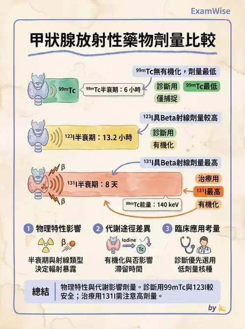 放射 - 甲狀腺造影 - AI 圖文解析預覽