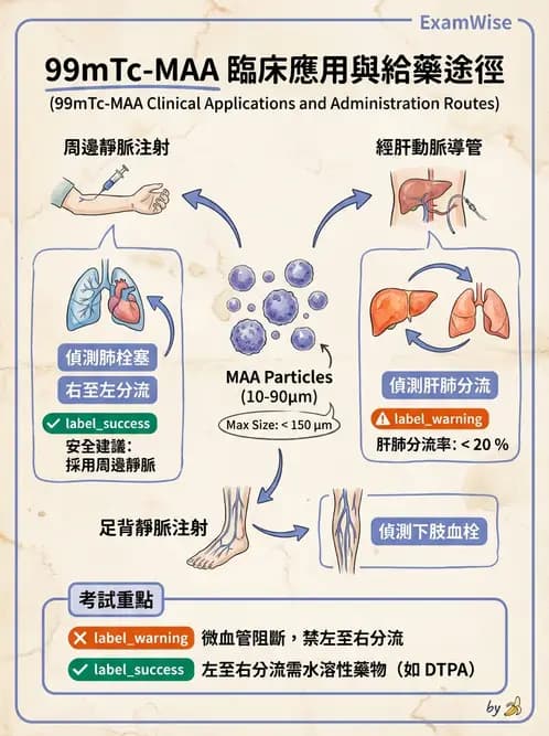 放射 - 肺部與感染造影 - AI 圖文解析預覽