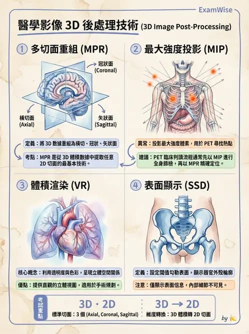 放射 - PET造影原理與重組 - AI 圖文解析預覽