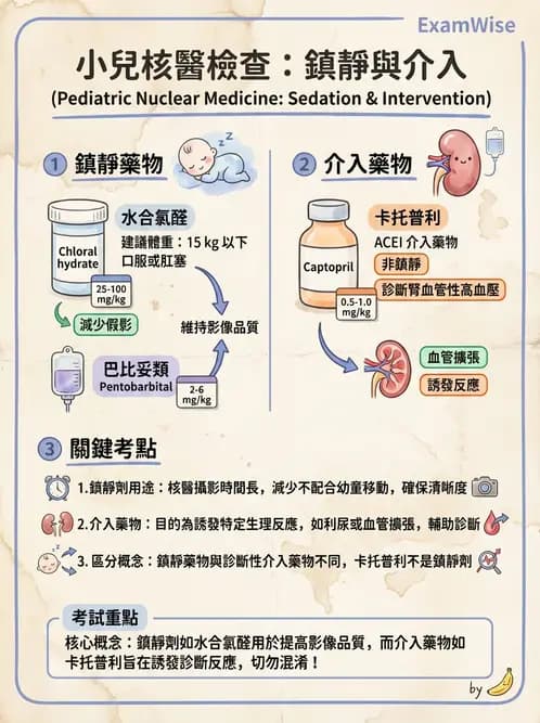 放射 - 肺部與感染造影 - AI 圖文解析預覽