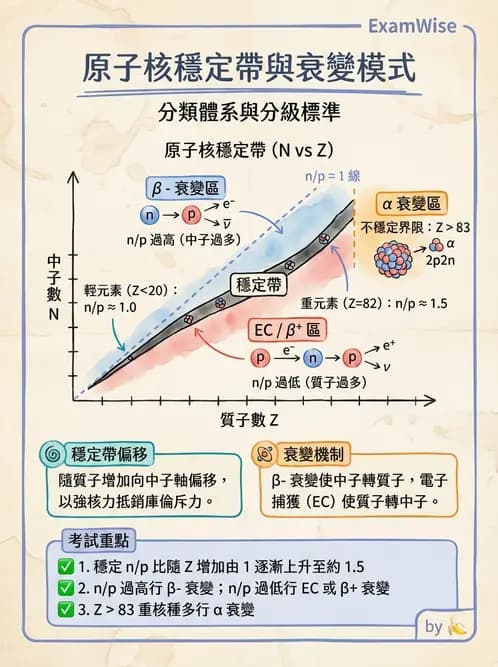 放射 - 蛻變類型與計算 - AI 圖文解析預覽