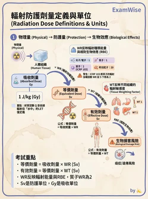 放射 - 輻射安全與保健物理 - AI 圖文解析預覽