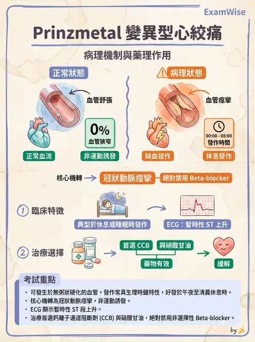 放射 - 心臟及血管疾病 - AI 圖文解析預覽