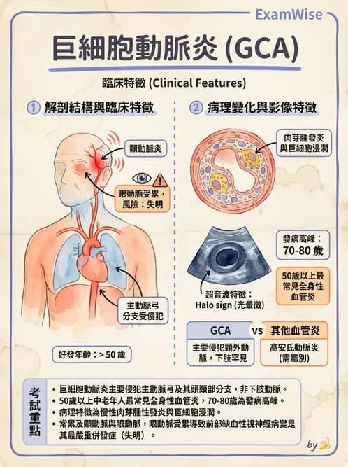 放射 - 心臟及血管疾病 - AI 圖文解析預覽