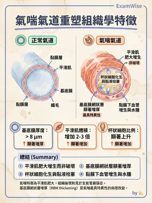 放射 - 呼吸系統疾病 - AI 圖文解析預覽