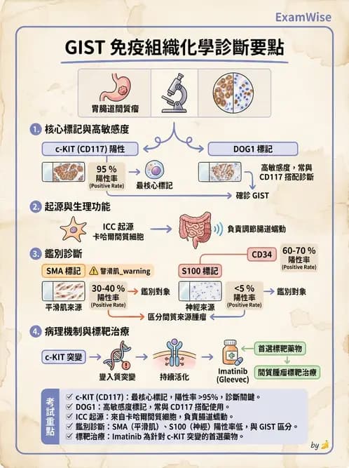 放射 - 口腔及腸胃道疾病 - AI 圖文解析預覽
