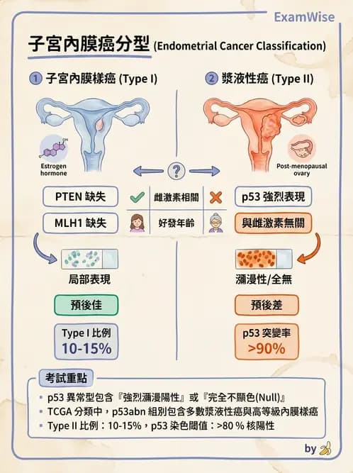 放射 - 生殖系統及乳房疾病 - AI 圖文解析預覽