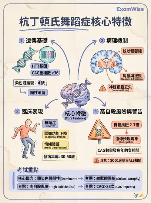 放射 - 神經系統疾病 - AI 圖文解析預覽