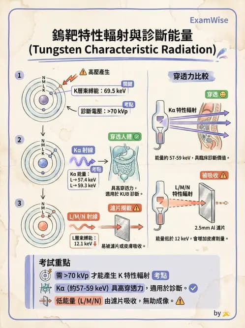 放射 - X光產生與特性 - AI 圖文解析預覽