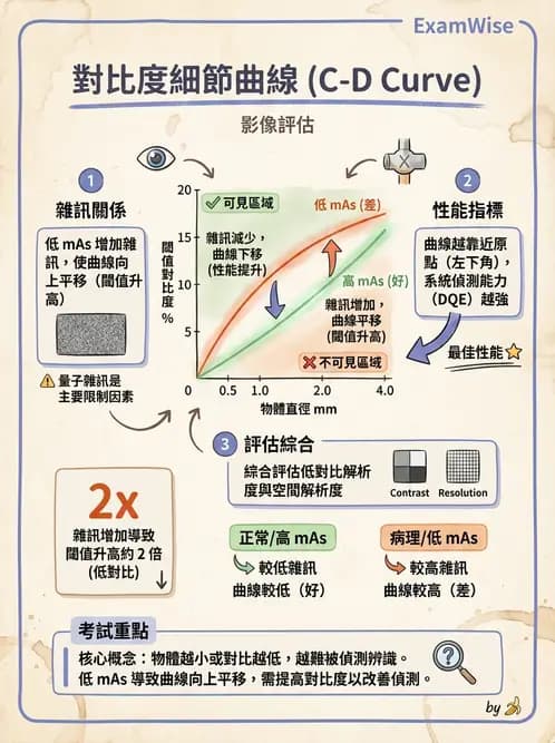 放射 - 透視與數位影像 - AI 圖文解析預覽