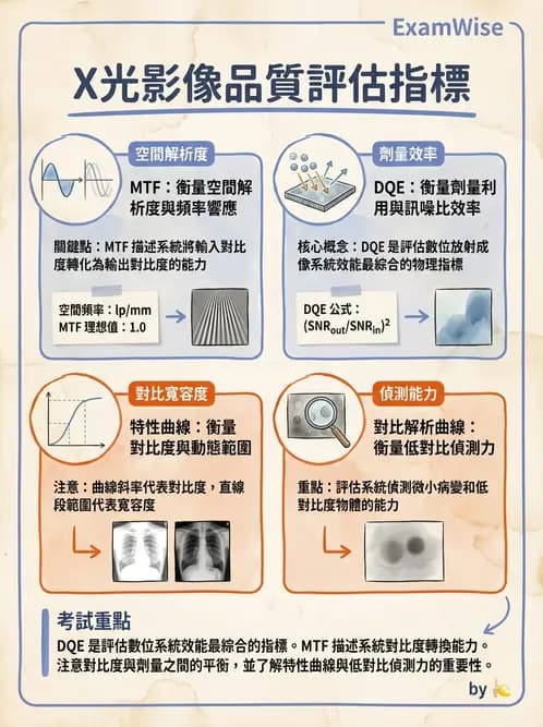 放射 - 透視與數位影像 - AI 圖文解析預覽