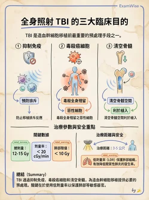 放射 - 特殊治療技術 - AI 圖文解析預覽