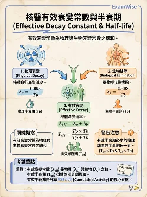 放射 - 體內劑量 - AI 圖文解析預覽